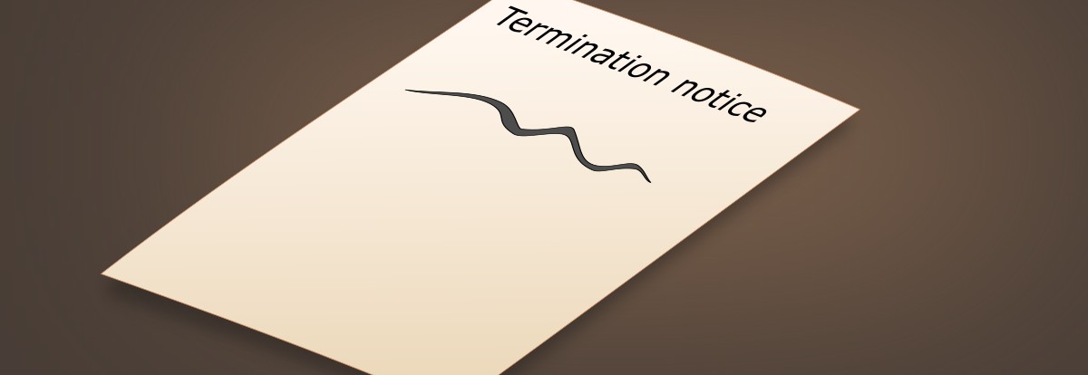 Am I losing my job? cover image
